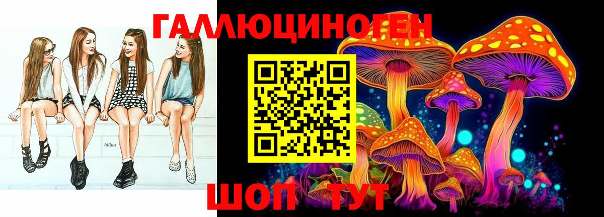 Галлюциногенные грибы прущие грибы  Вход с VPN  Гудермес 